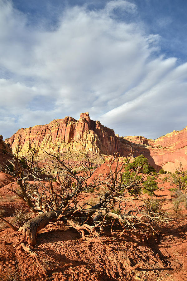 Capitol Reef Clouds Photograph by Ray Mathis