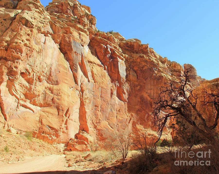 Capitol Reef Majestic Beauty  2879 Photograph by Jack Schultz
