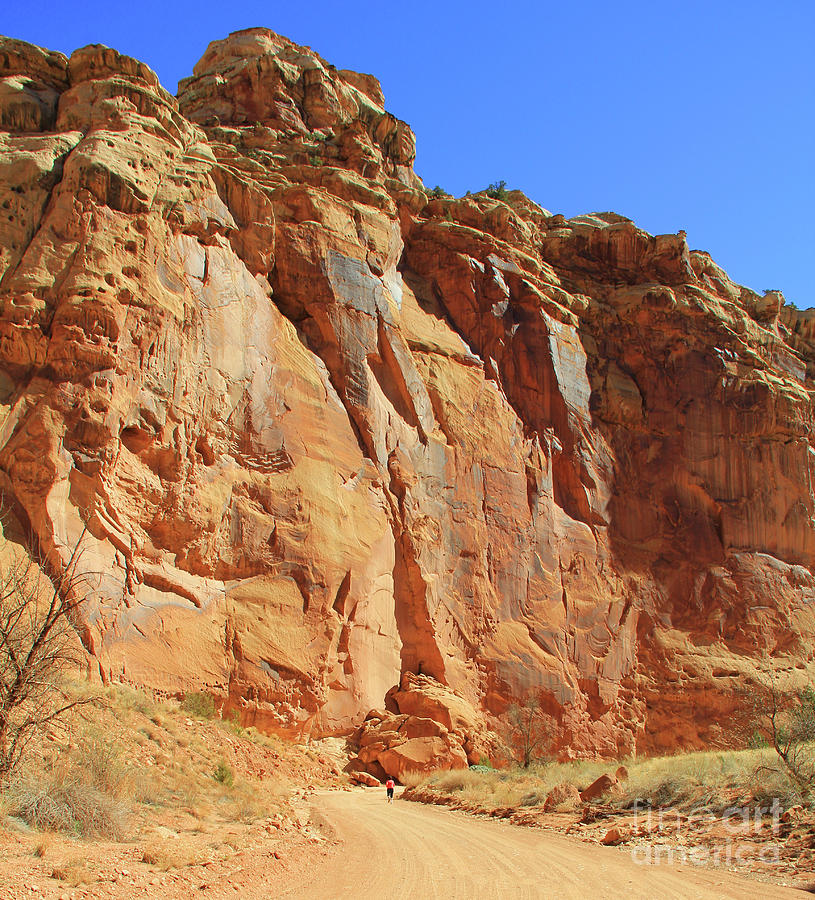 Capitol Reef Majestic Beauty  2883 Photograph