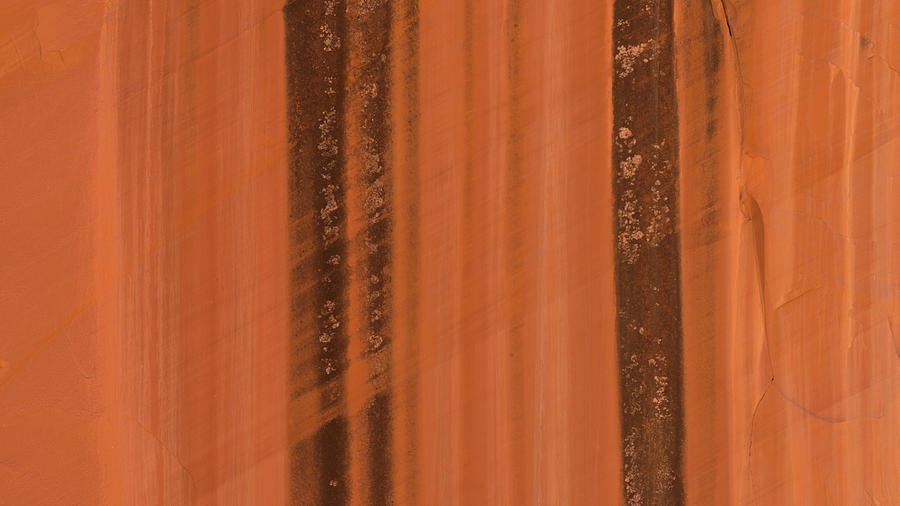 Capitol Reef Sandstone Abstract 3 Photograph by Lawrence S Richardson Jr