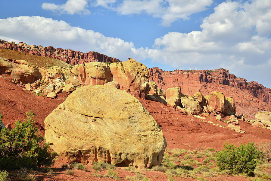 Capitol Reef Scenic Byway 24 Photograph by Ray Mathis