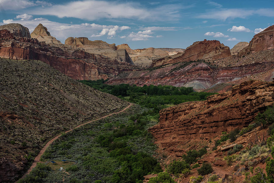 Capitol Reef View Photograph by Jody Partin