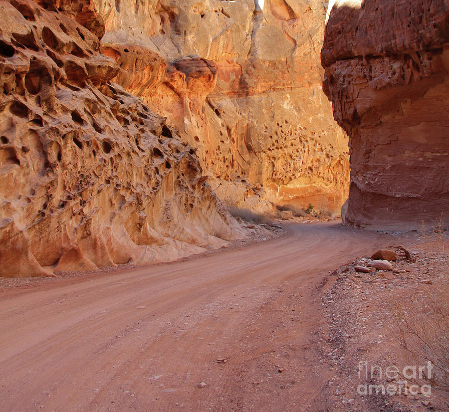Capitol Reef Winding Roadway 2902 Photograph by Jack Schultz