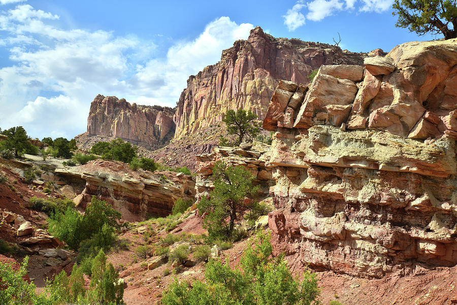 Capitol Reef National Park Photograph - Capitol Reefs Scenic Drive by Ray Mathis