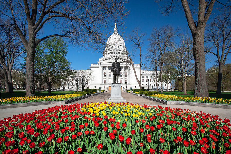 Capitol Tulips Photograph by Todd Klassy