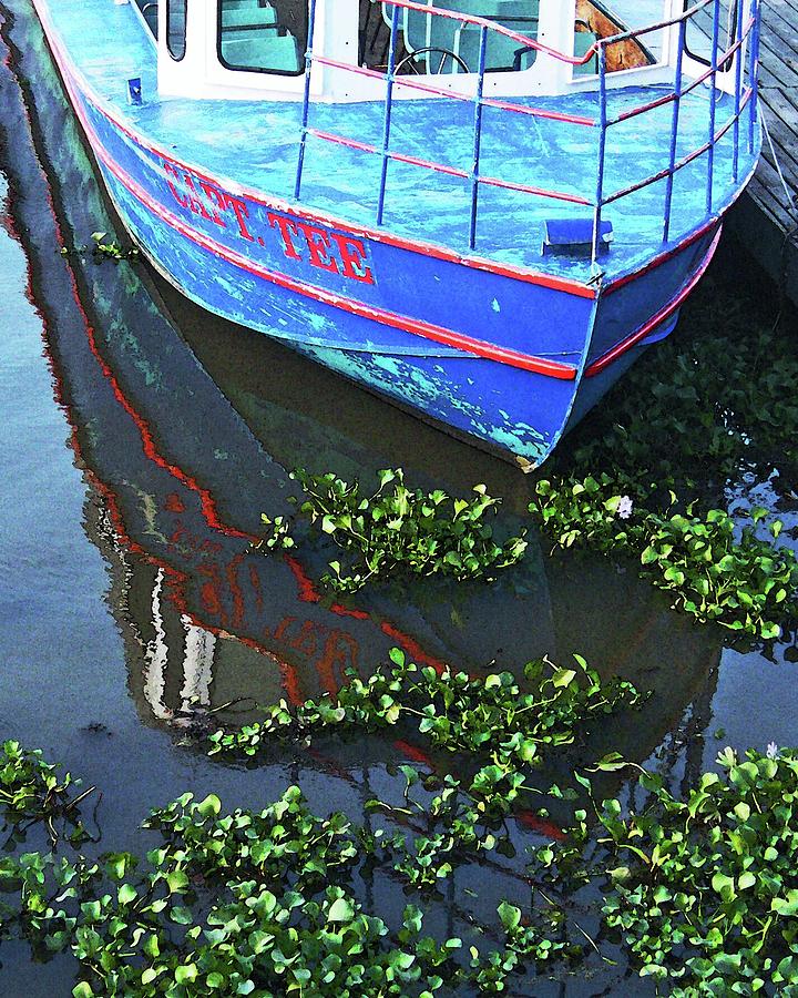 Capn Tee Henderson Swamp Photograph by Lizi Beard-Ward