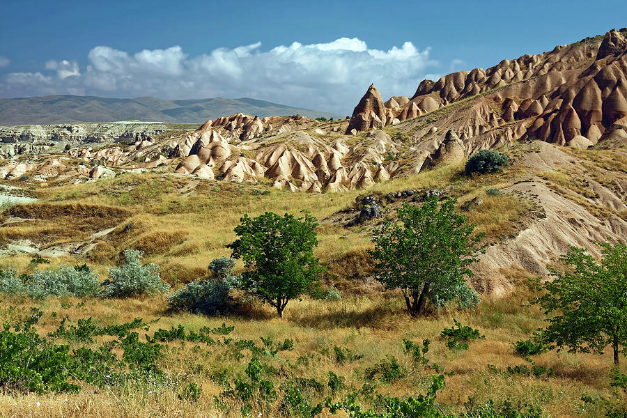 Cappadocia Scenic Photograph by Sally Weigand