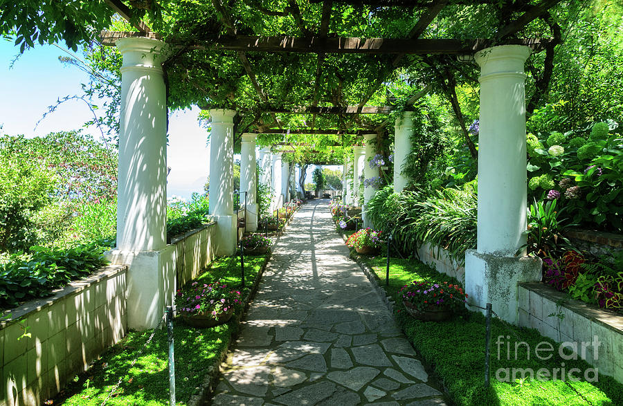 Garden at Capri  Photograph by Anastasy Yarmolovich