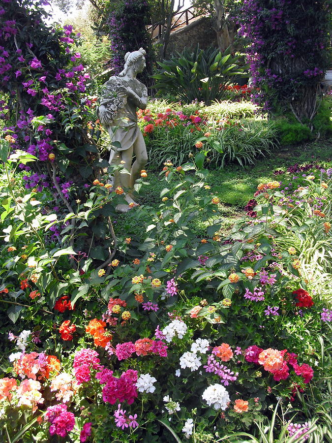 Capri Street Scene garden Photograph by Jodie Marie Anne Richardson Traugott          aka jm-ART