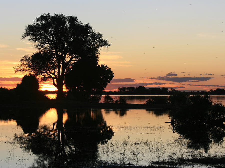 Caprivi Sunset Photograph by Karen Zuk Rosenblatt Caprivi Sunset Photograph by Karen Zuk Rosenblatt