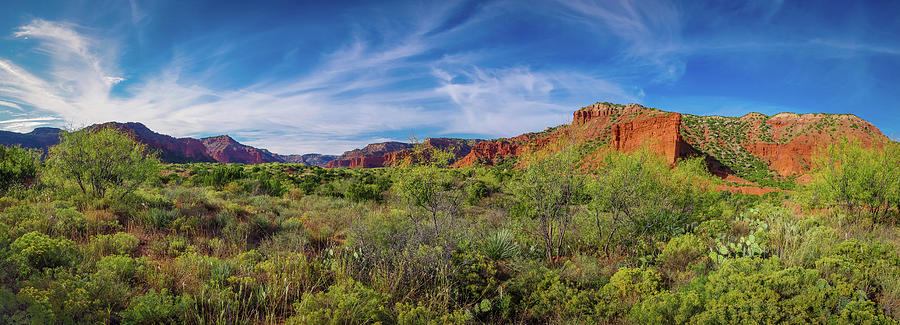 Caprock Canyon Panorama 2 Photograph by Adam Reinhart