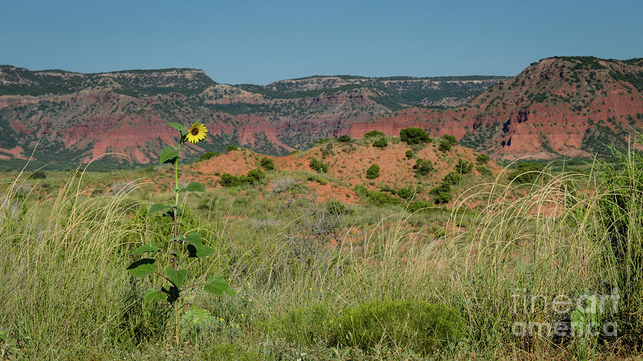Caprock Canyons State Park - Texas Photograph
