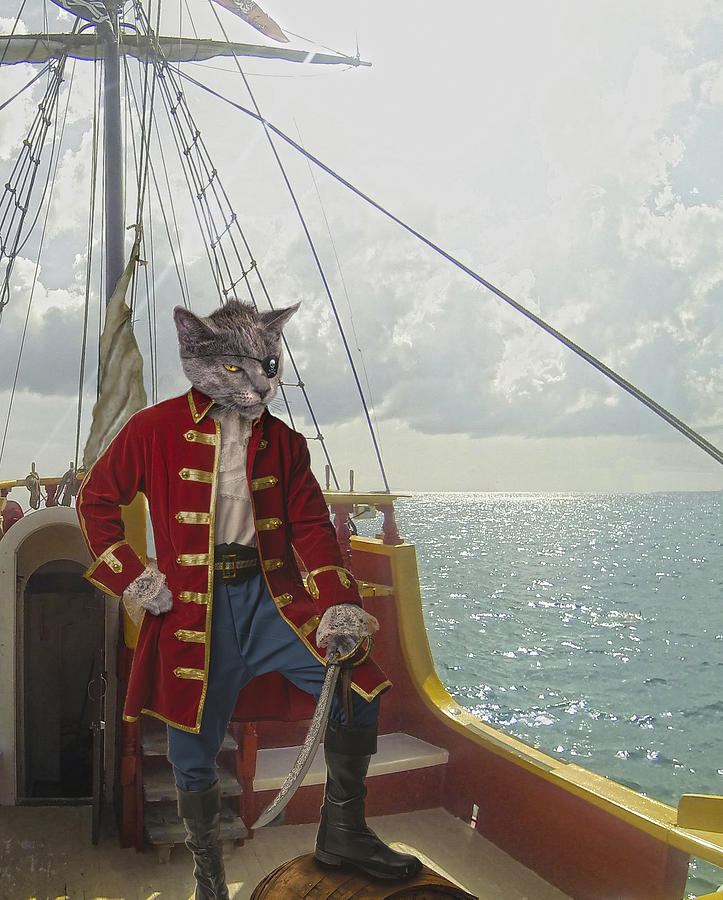 Captain Catnip Digital Art by Rick Mosher