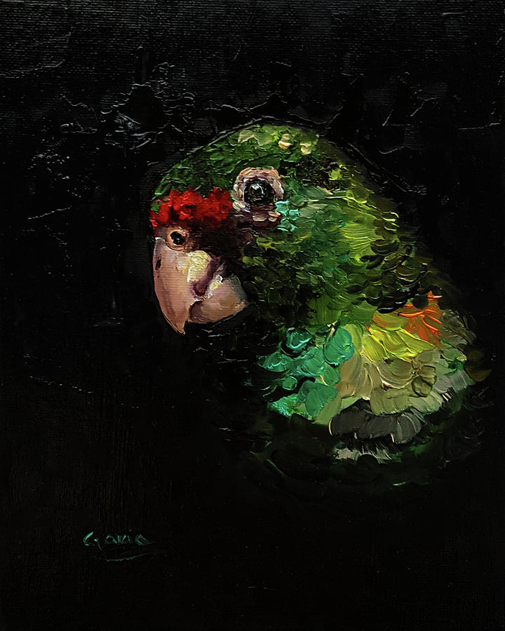 Captain the Parrot Painting by Janet Garcia