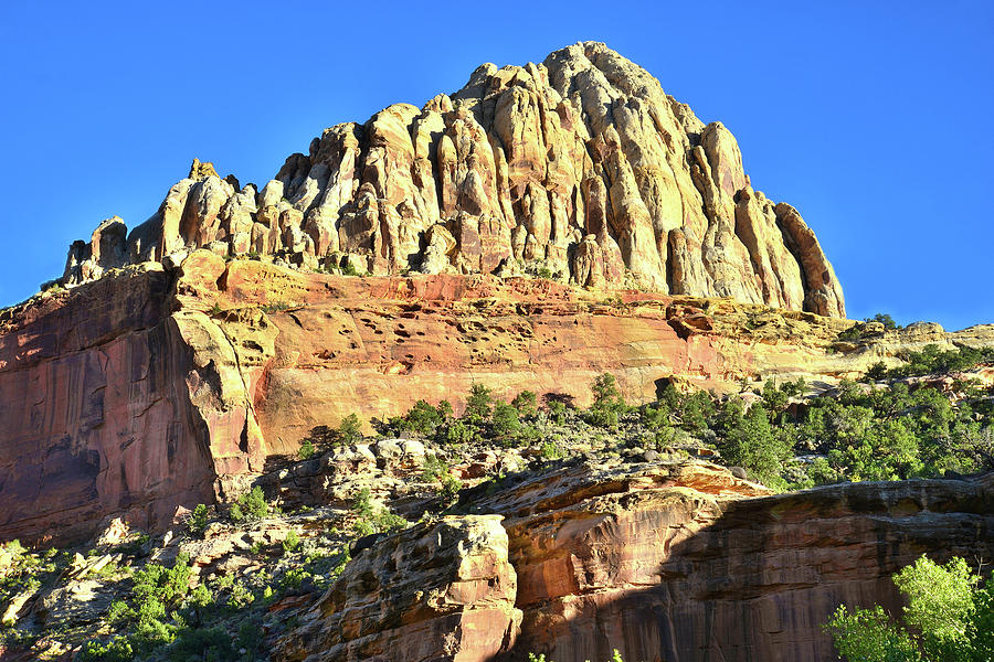 Capitol Reef National Park Photograph - Captiol Reef National Park by Ray Mathis