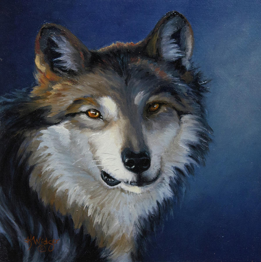 Mexican Gray Wolf Painting - Captive by Katy Widger