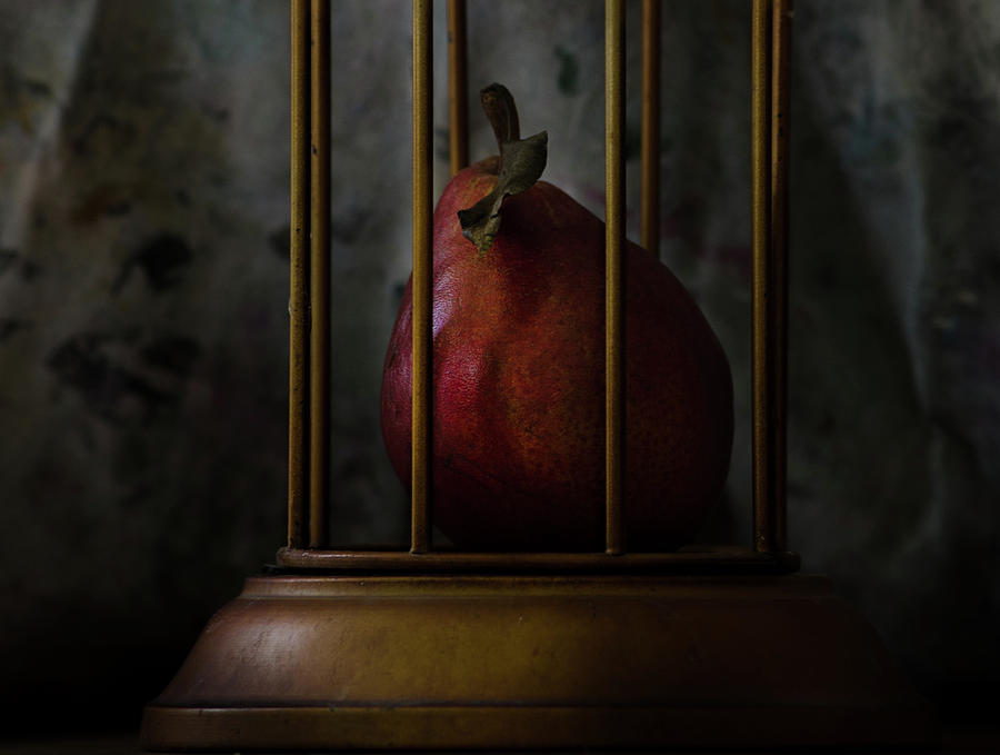 Captive - the pear drama 985 Photograph by Rae Ann  M Garrett