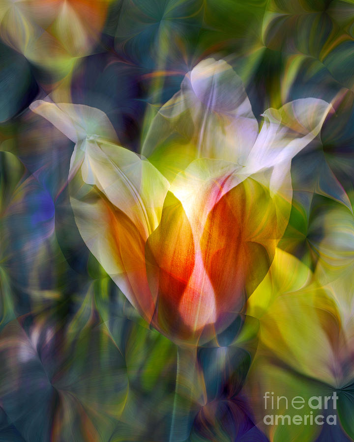 Floral Photograph - Capturing the Sun by Chuck Brittenham Floral Photograph - Capturing the Sun by Chuck Brittenham