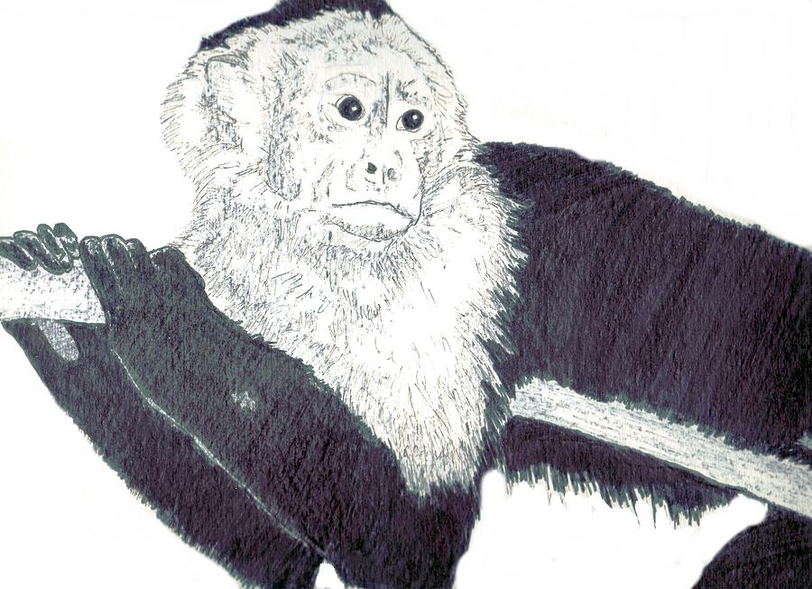 Monkey Painting - Capuccin by Debra Sandstrom