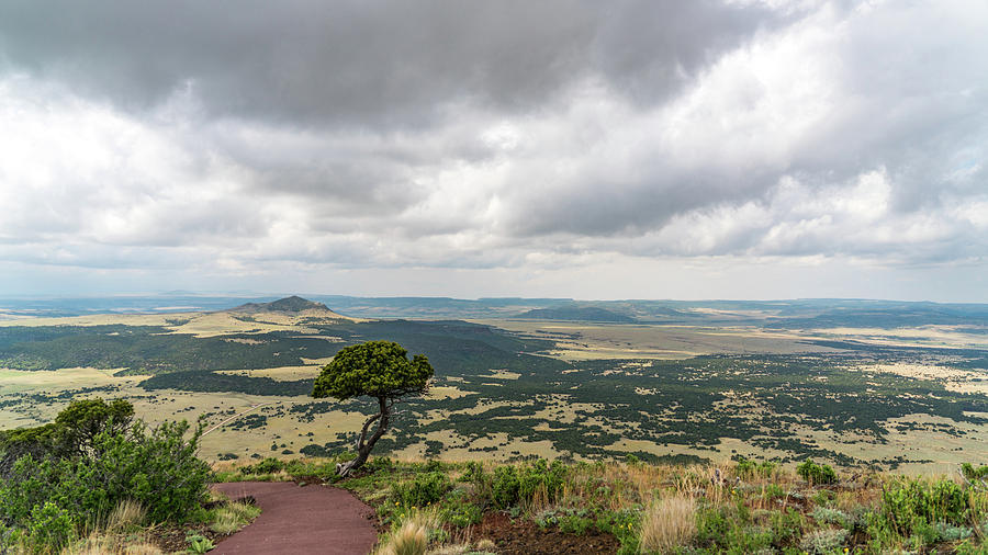 New Mexico Photograph - Capulin Volcano Trail New Mexico by Lawrence S Richardson Jr