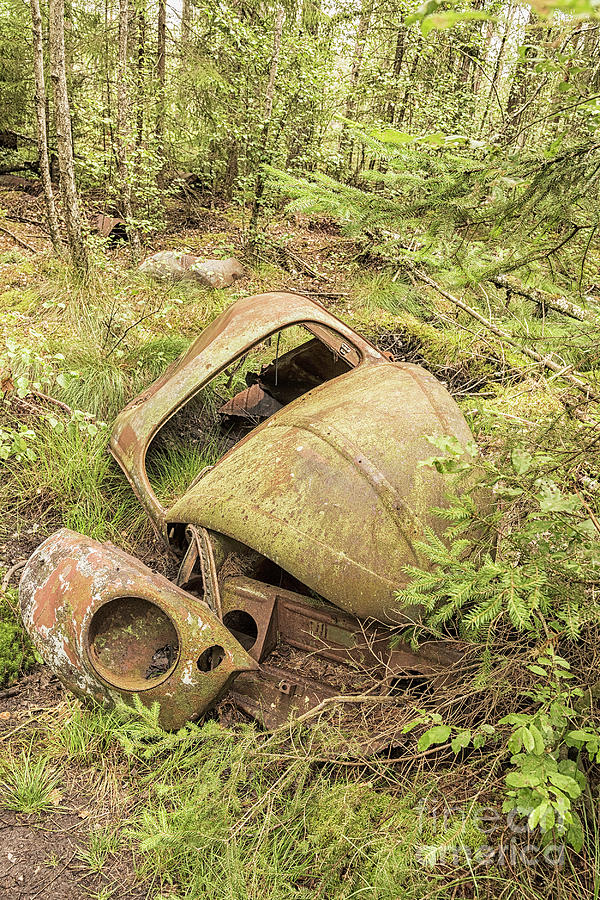 Car Graveyard in Sweden Photograph by Antony McAulay