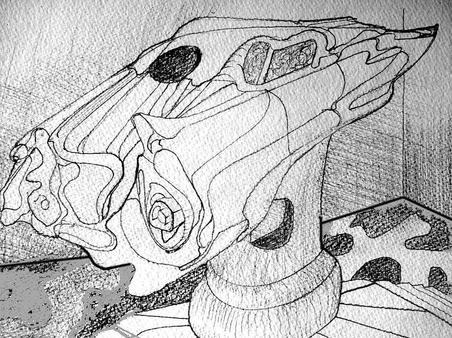 Car Drawing - Car Holes by Lee M Plate