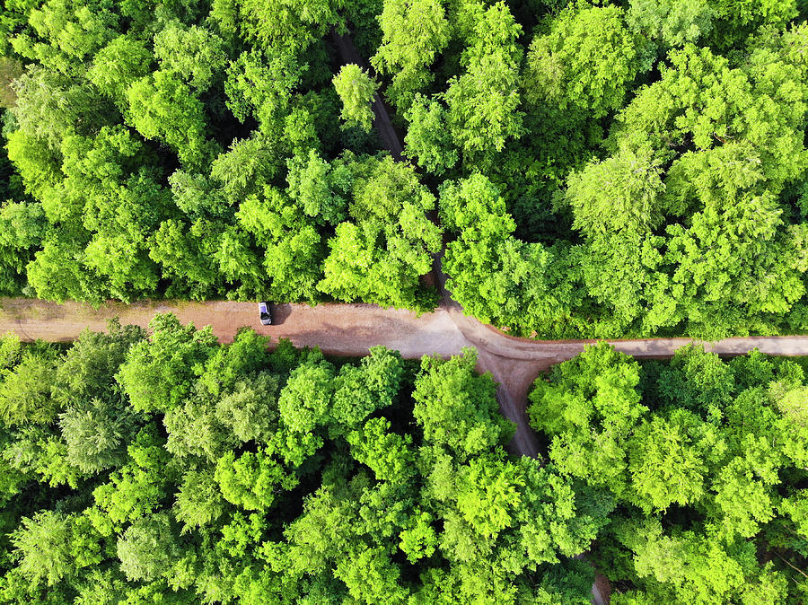 Car in green forest aerial view Photograph by Matthias Hauser Car in green forest aerial view Photograph by Matthias Hauser
