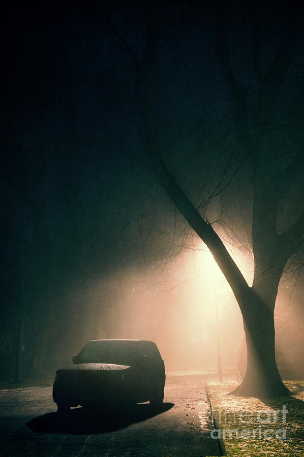 Car Parked Under A Tree At Night In Winter Fog Photograph by Lee Avison