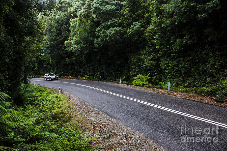 Car travelling through rainforest in West Tasmania Photograph by Jorgo Photography
