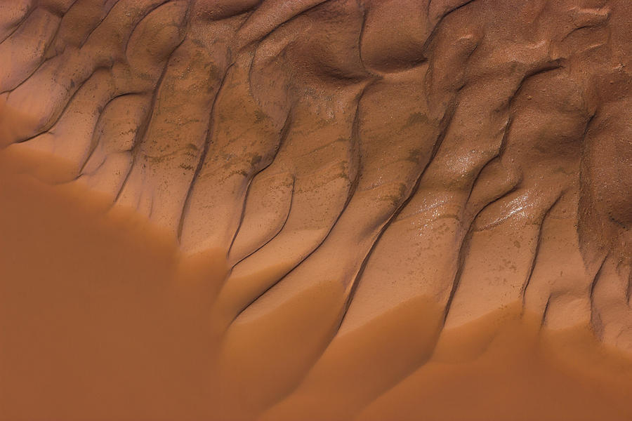Caramel Mud Photograph by Deborah Hughes