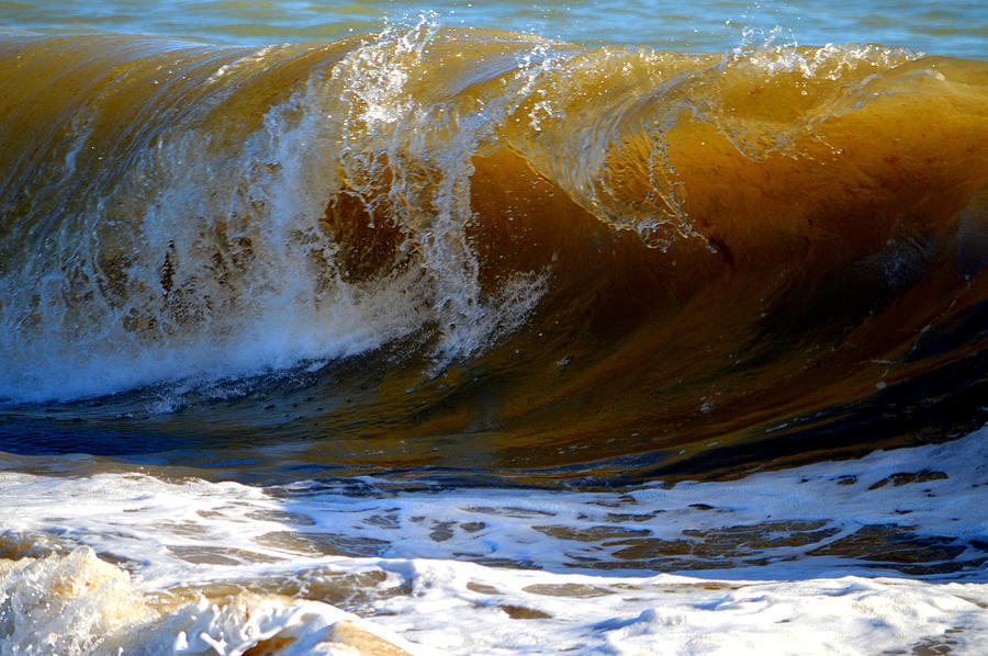 Caramel Swirl - Nauset Light Beach Photograph by Dianne Cowen Cape Cod Photography