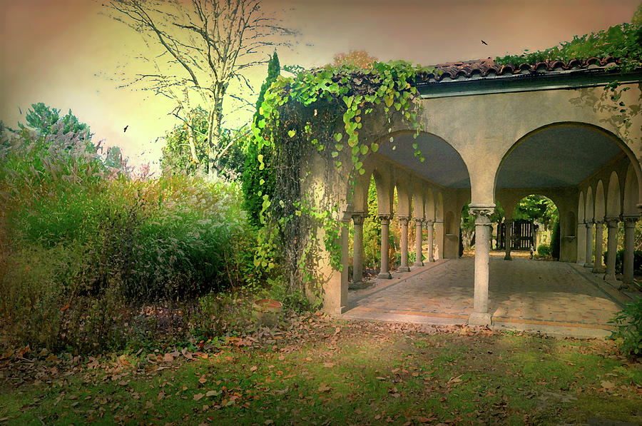 Caramoor Amore Photograph by Diana Angstadt