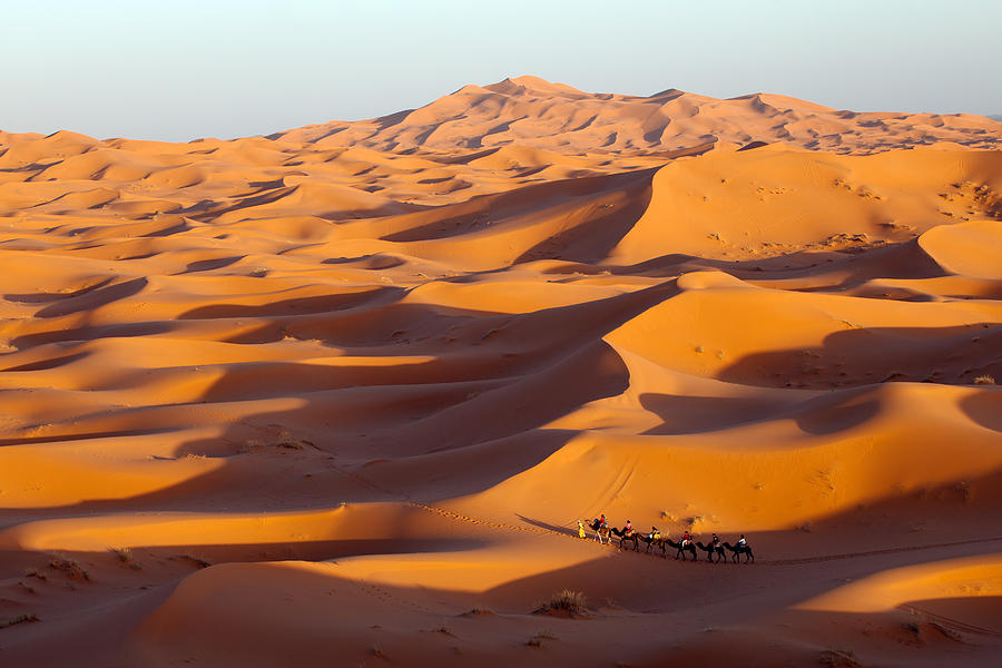 Caravan in Desert Photograph by Aivar Mikko