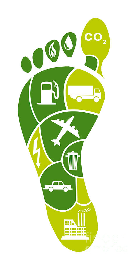 How can we reduce the carbon footprint in the logistics area of