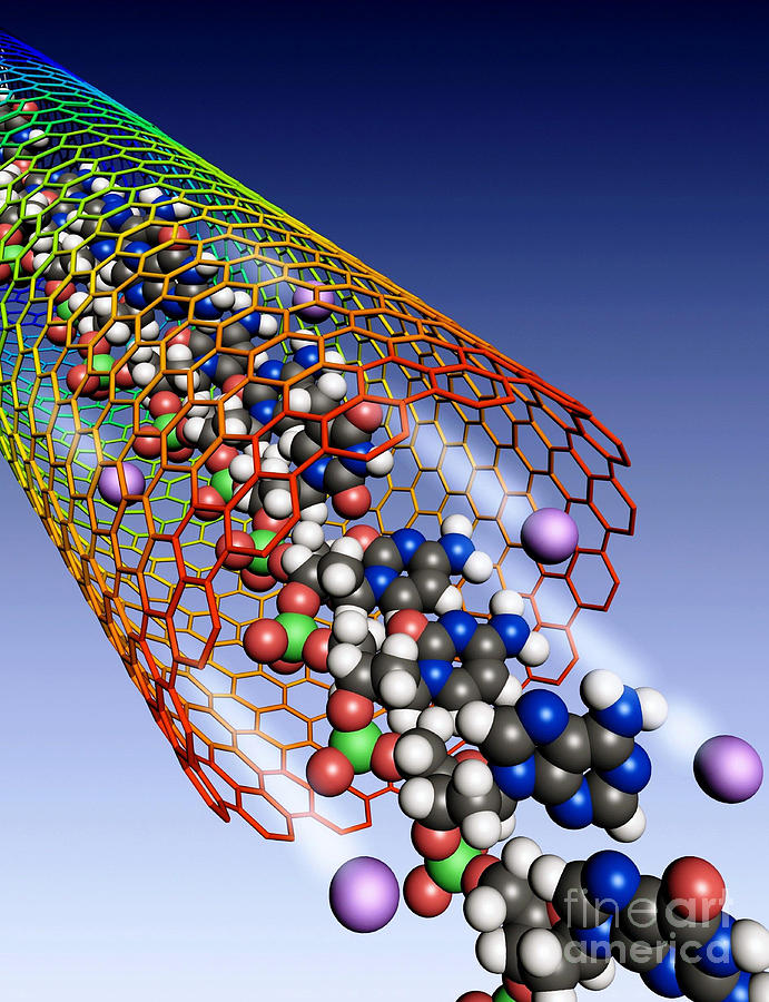 Carbon Nanotube, Ions And Dna Photograph by Science Source