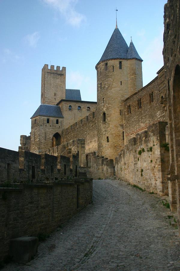 Carcassonne Castle Photograph by Minaz Jantz