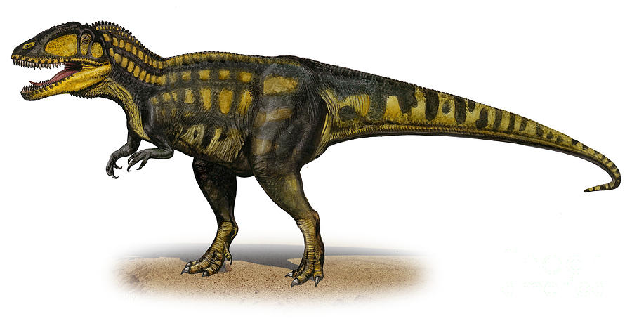 Carcharodontosaurus Iguidensis Digital Art