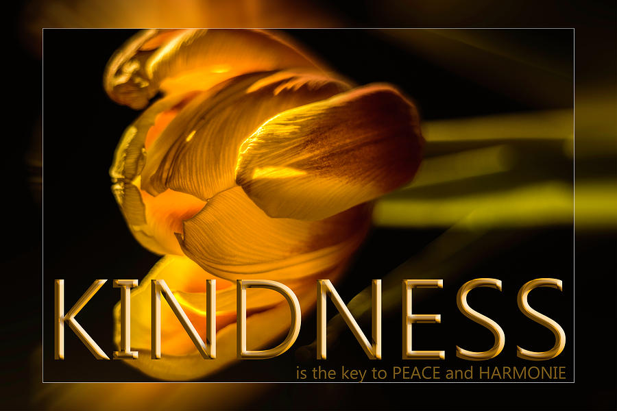 Card Kindness Photograph by Wolfgang Stocker
