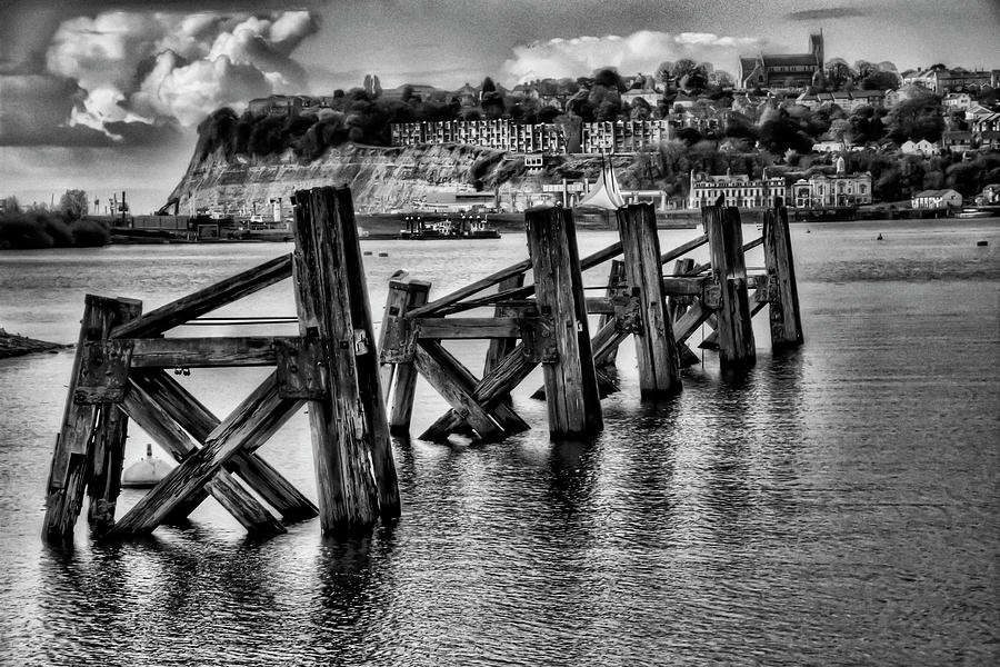 Cardiff Bay Dolphins Monochrome Photograph by Steve Purnell