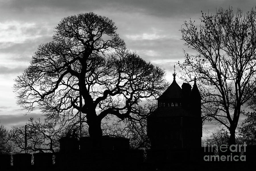 Cardiff Castle Winter Silhouettes Photograph by James Brunker