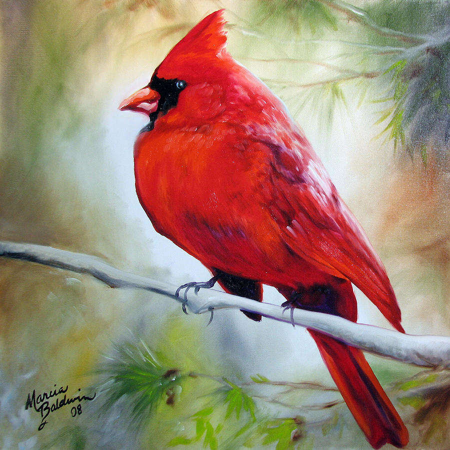 Cardinal Painting - Cardinal 18 by Marcia Baldwin