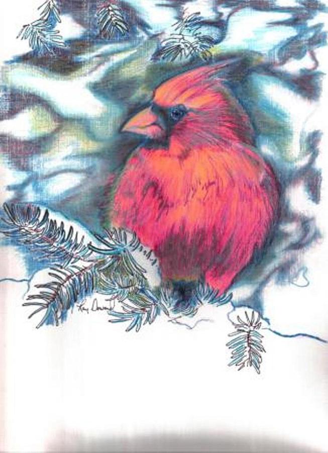 Cardinal 2 Drawing by Raymond Doward