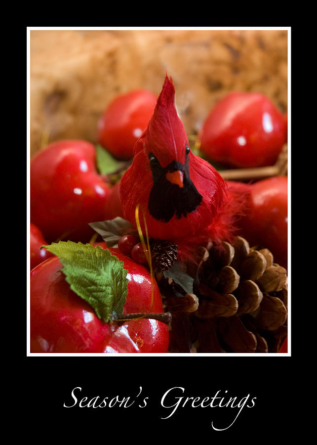 Cardinal and Apples Season Greetings Card Photograph by Ginger Wakem