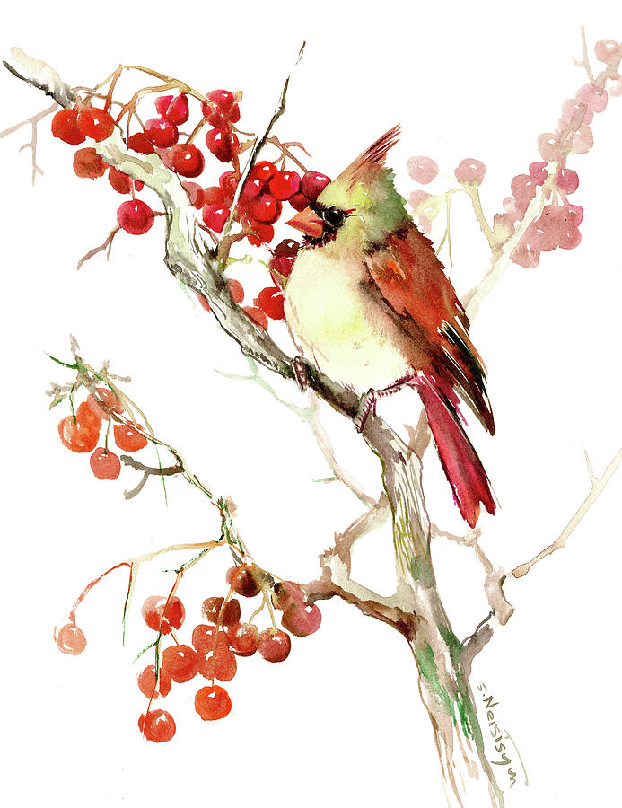 Cardinal Bird and Berries Painting by Suren Nersisyan