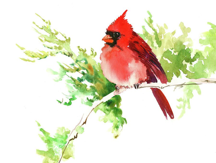 Cardinal Bird, Chrismtas Artwork Painting by Suren Nersisyan