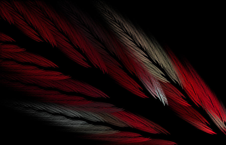 Cardinal Digital Art by Brandi Untz