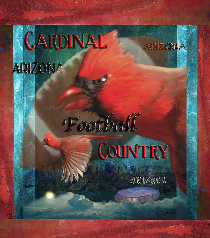 Cardinal Country Digital Art by Colleen Taylor