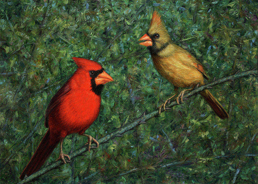 Cardinal Couple Painting by James W Johnson