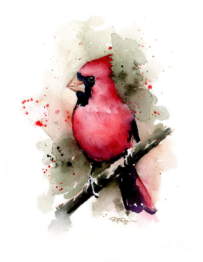 Cardinal Painting - Cardinal by David Rogers