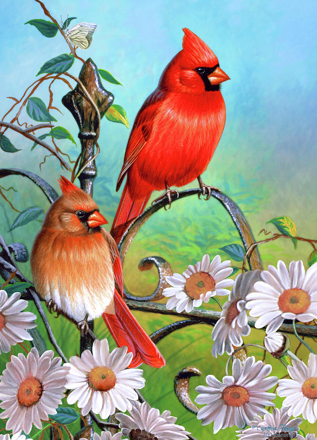 cardinal painting